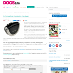 Win a Petcam 