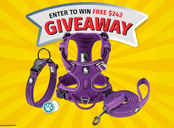 Win a Premium Dog Nation Bundle