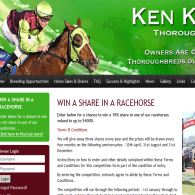 Win a share in a racehorse!