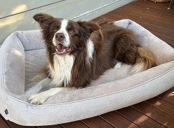 Win a Snooza Pet Bed