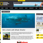 Win a swim with Whale Sharks!