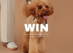 Win a Tethering Set for Your Pooch