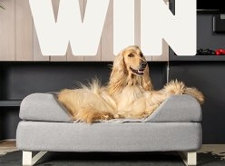 Win a Topology Dog Bed