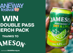 Win a VIP Double Pass to Laneway Festival & Merch Pack