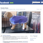 Win a Weatherproof Dog Coat