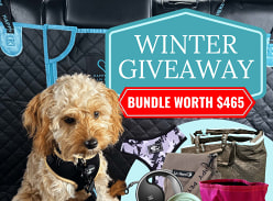 Win a Winter Dog Bundle