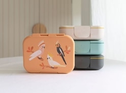 Win a Woodland Wares Bento Lunchbox Bundle