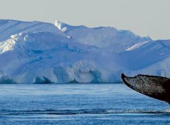 Win an 11-Day Trip for 2 to Antarctica and Return Flights to Ushuaia, Argentina
