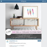 Win an A4 unframed feathers print! - B.Rabbit Design Co