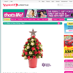 Win an Edible Blooms Chocolate Christmas Tree worth $85.00