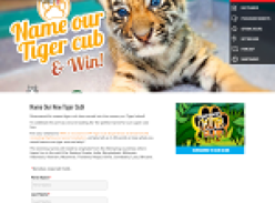 Win an exclusive VIP tiger cub experience at Dreamworld including flights & accommodation!