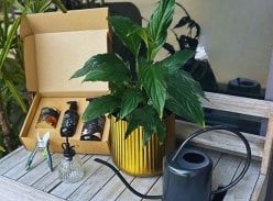 Win an Indoor Plant Care Bundle
