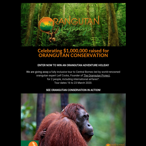 Win an Orangutan Adventure Holiday in Central Borneo for 2