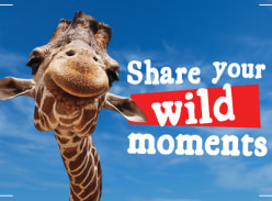Win Animal Experiences for Two