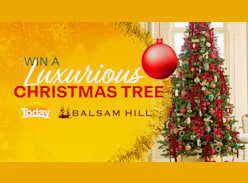 Win 1 of 12 Balsam Hill Christmas Trees