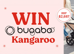 Win Bugaboo Kangaroo Bassinet & Seat Tandem Pram