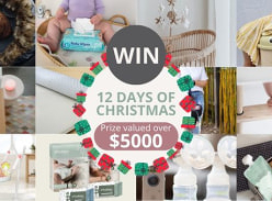 Win Bundle of Prizes from 12 Days of Christmas Giveaway