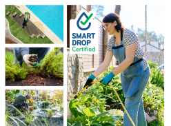 The Water Conservancy