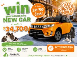 Win a Car of your Choice