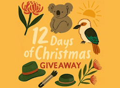 Win a Century Batteries Cooler Bag and Picnic Blanket