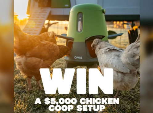 Win a $5K Chicken Coop Setup - Omlet
