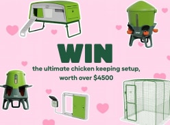 Win an Ultimate Chicken Keeping Setup - Omlet