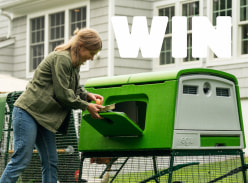 Win a Chicken Keeping Starter Kit