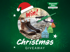 Win the Ultimate Christmas Giveaway