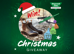 Win the Ultimate Christmas Giveaway