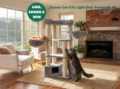 Win a Corner Cat XXL Light Grey Cat Tree - Cat Tree King - Australia