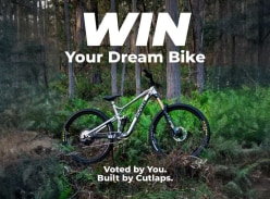 Win a Custom Bike