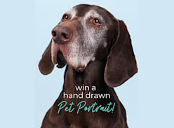Win a Custom Hand-Drawn Pet Portrait