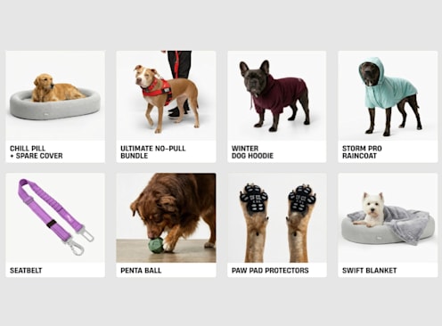 Win 1 of 2 Ultimate Dog Essentials Packs - Dog Friendly Co.