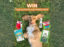 Win Dog Prize Pack Packed with Toys, Treats and Everyday Essentials - Vetshopmax