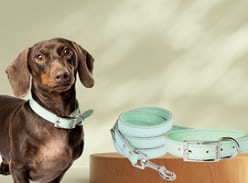 Win a Dogue Gelato Walkwear Collar & Lead