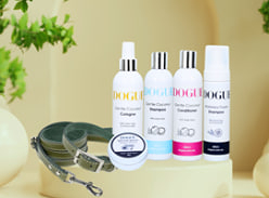 Win a Dogue Hamper