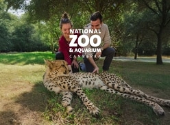Win a Double Pass to Canberra's Cheetah Experience