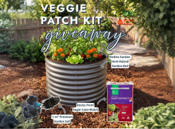 Win an Easter Veggie Patch Kit - Rock 'N' Soil