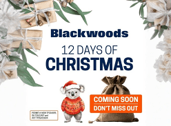 Win 1 of 12 Exciting Blackwoods Christmas Prizes