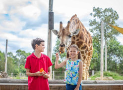 Win 1 of 2 Family Pass to Sydney Zoo - Mindfood