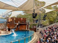 Win 1 of 5 Family Passes to Taronga Zoo Sydney