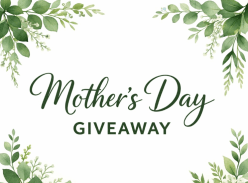 Mama Bear’s Clean Team