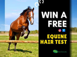 Win a FREE Equine Hair Test