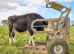 Win a Gallagher Auto Weigher - Gallagher Animal Management