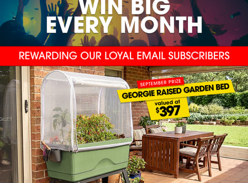 Win a Georgie Raised Garden Bed - Paramount Browns
