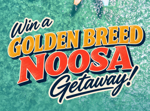 Win a Golden Breed Noosa Getaway - Golden Breed Surf