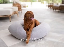 Win 1 of 2 High Quality Pet Beds