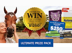 Win 1 of 3 Ultimate Horse Prize Packs