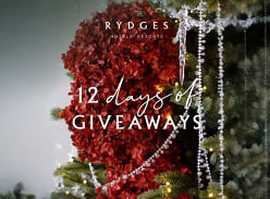 Win Hotel Package Daily with 12 Days of Giveaway
