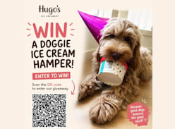 Hugo\'s Ice Creamery